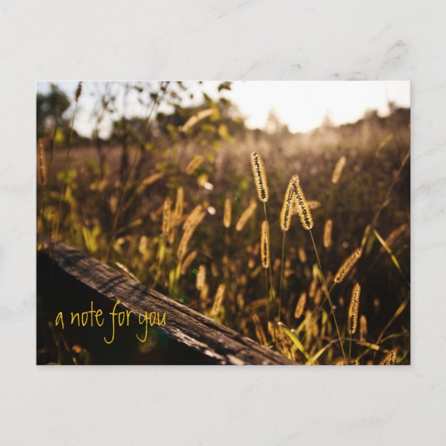 Feld der Postkarte für den Gold Abend (Vorderseite)
