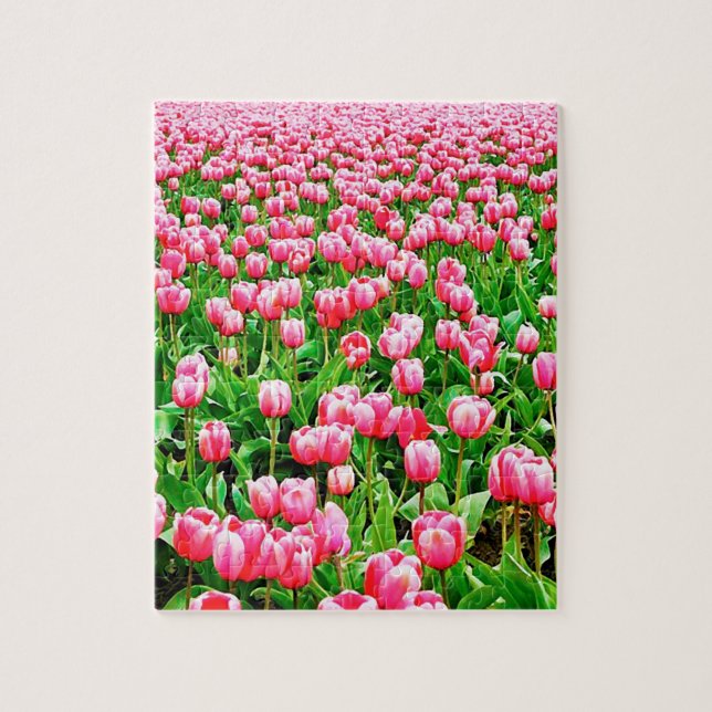Feld der rosa Tulpen (Vertikal)