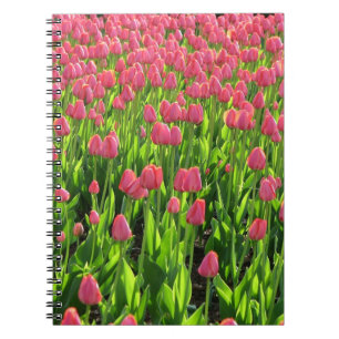 Feld der rosa Tulpen Notizblock