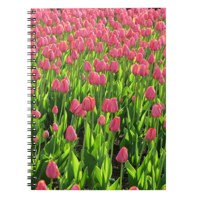 Feld der rosa Tulpen Notizblock (Vorderseite)