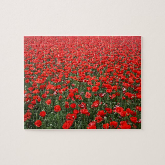 Feld der roten Mohnblumen (Horizontal)