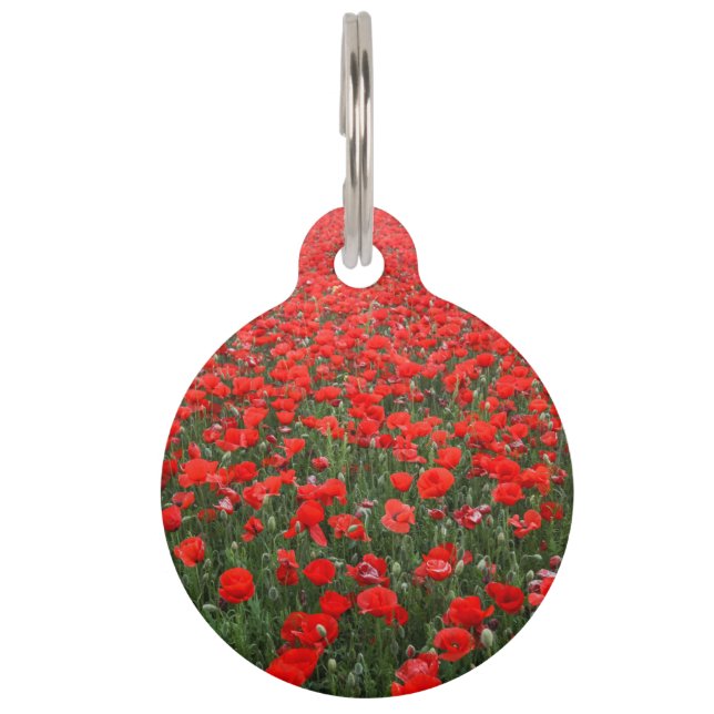 Feld der roten Mohnblumen Tiernamensmarke (Vorderseite)