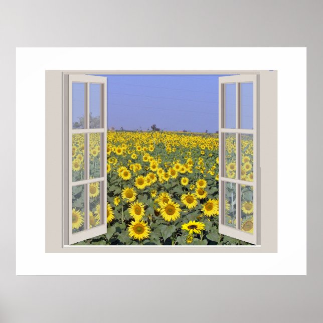 Feld der Sonnenblumen durch ein offenes Fenster be Poster (Vorne)