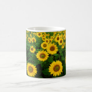 Feld der Sonnenblumen Kaffeetasse