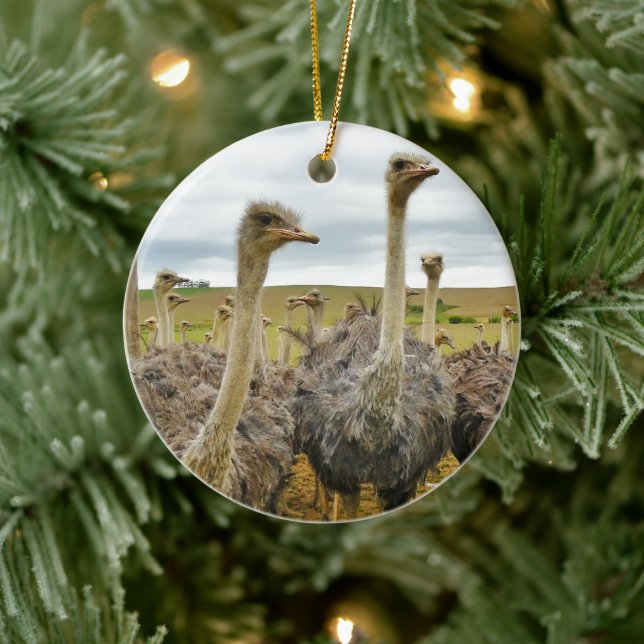 Feld der Strauße Keramikornament (Baum)