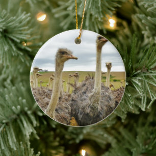 Feld der Strauße Keramikornament