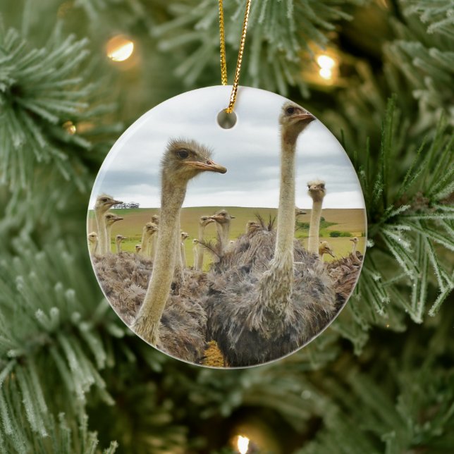 Feld der Strauße Keramikornament (Baum)