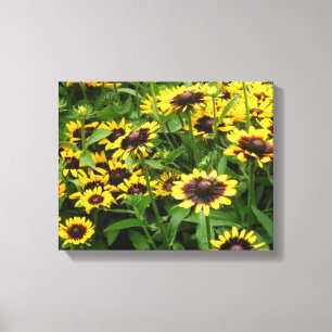 Feld der Tiger-Augen-Blumen wickelte Leinwand ein