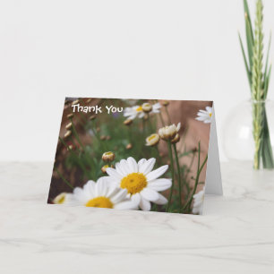 Feld der Wedding Gänseblümchen danken Ihnen zu Dankeskarte