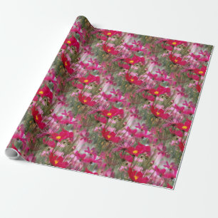 Feld des Kosmos....... Geschenkpapier