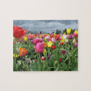 Feld des Tulpe-Puzzlespiels