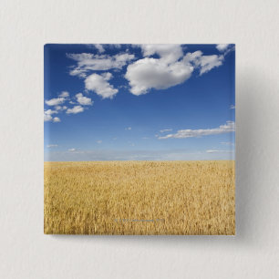 Feld des Weizens Button