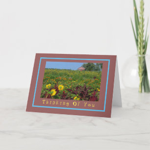 FELD FARBIGER BLUME UND ALTER ROTER BARN/THINKIN KARTE