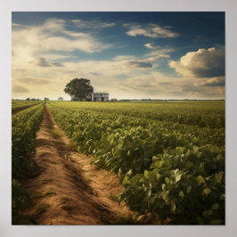 Feld für ländliche Erdnüsse Poster