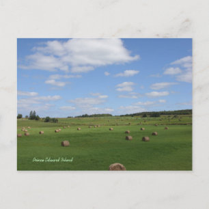 Feld in PEI-Postkarte Postkarte