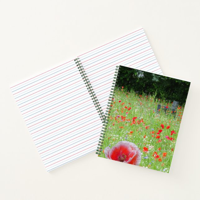Feld mit Bench EDS-Notebook Notizbuch (Innenseite)