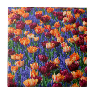 Feld mit blauen, orangen und roten Blumen Fliese