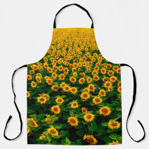 Feld mit hellgelben Sonnenblumen an sonnigen Tagen Schürze