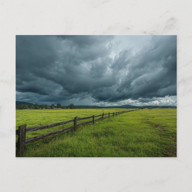 Feld mit Holzzaun Postkarte (Vorderseite)
