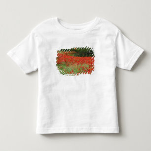 Feld mit Hybridmohnblumen bepflanzt entlang Kleinkind T-shirt