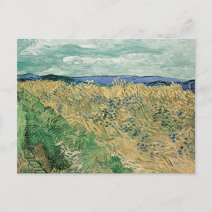 Feld mit Kornblumen   Vincent van Gogh Postkarte