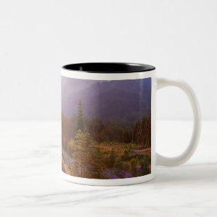 Feld mit Lupinen und Olympic Mountains bei Zweifarbige Tasse
