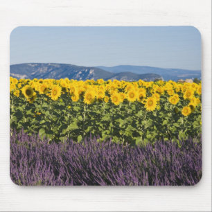 Feld mit Sonnenblumen und Lavendelblüten, Mousepad