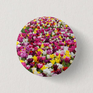 Feld mit Tulpen Button