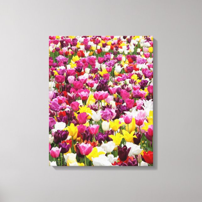 Feld mit Tulpen Leinwanddruck (Vorderseite)