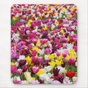 Feld mit Tulpen Mousepad