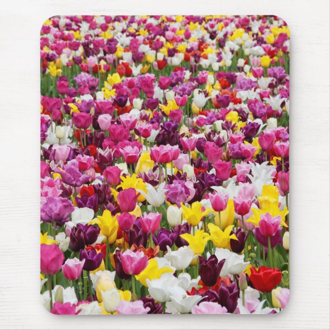 Feld mit Tulpen Mousepad (Vorne)