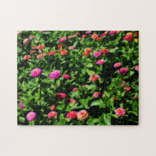 Feld mit Zinnienblumen Orton Art Effekt 