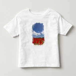 Feld voll der roten Blumen Kleinkind T-shirt