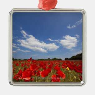 Feld voll der roten Blumen Ornament Aus Metall