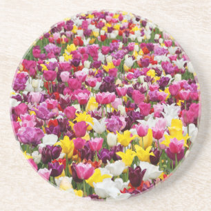 Feld voller Tulpen Getränkeuntersetzer