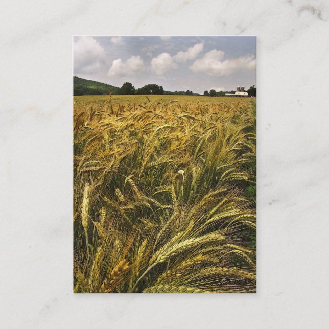 Feld von Korn ATC Visitenkarte (Vorderseite)