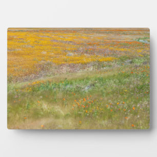 Feld Wildblume Fotoplatte