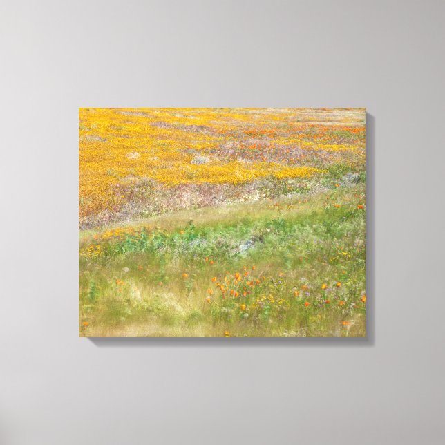 Feld Wildblume Leinwanddruck (Vorderseite)