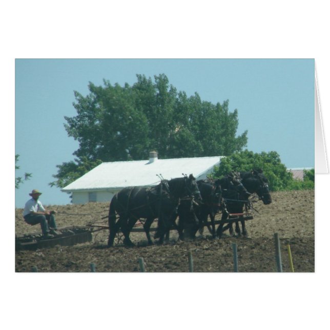 Feldarbeit mit Pferden (Vorderseite (Horizontal))