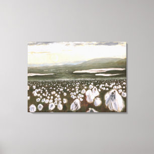 Felder arktischer Baumwolle: Canvas drucken nicht  Leinwanddruck