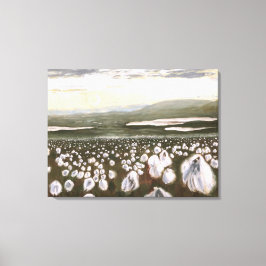 Felder arktischer Baumwolle: Canvas-Drucknorm Leinwanddruck