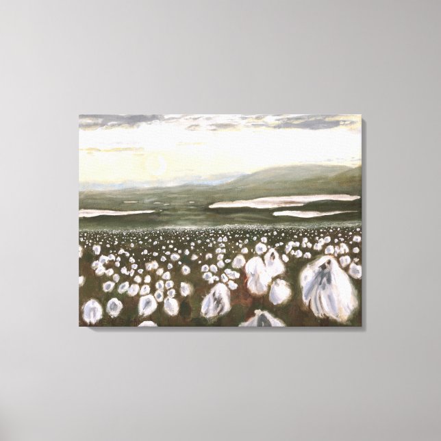 Felder arktischer Baumwolle: Canvas-Drucknorm Leinwanddruck (Vorderseite)