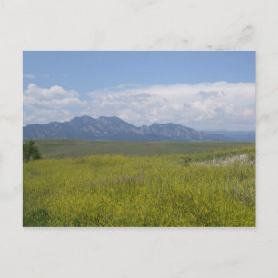 Felder Grün und Gold Postkarte