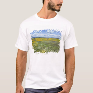 Felder im Frühjahr nahe Guadalupe T-Shirt