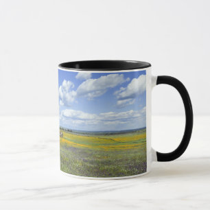 Felder im Frühjahr nahe Guadalupe Tasse