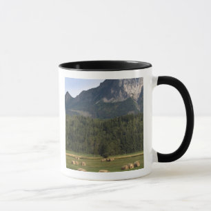 Felder mit geschlagenem Heu, Alberta, Kanada Tasse