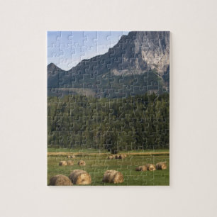 Felder mit Heuballen, Alberta, Kanada
