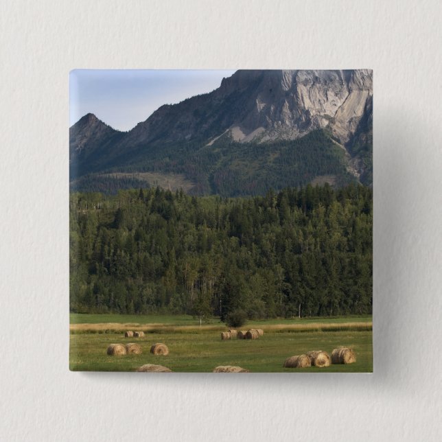 Felder mit Heuballen, Alberta, Kanada Button (Vorderseite)