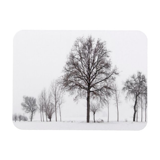 Felder um Skalenghe | Piemont, Italien Magnet (Horizontal)