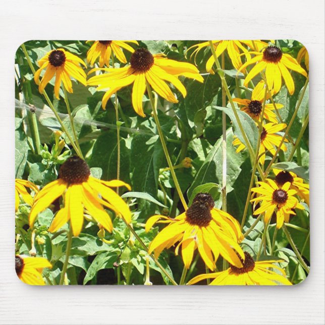 Felder von gelbem Mousepad (Vorne)
